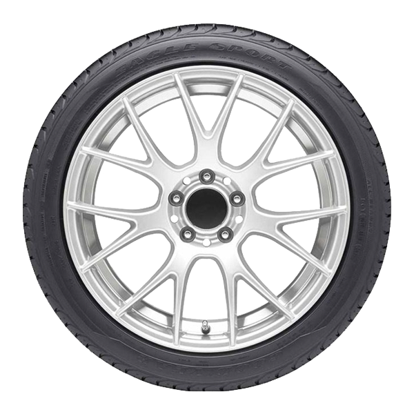 шины goodyear eagle sport 2 205 55 r16 91v